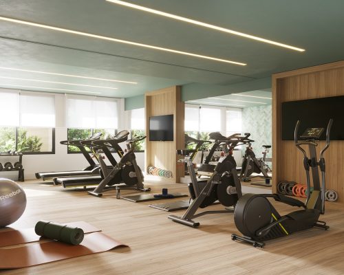 alma-ipanema-academia