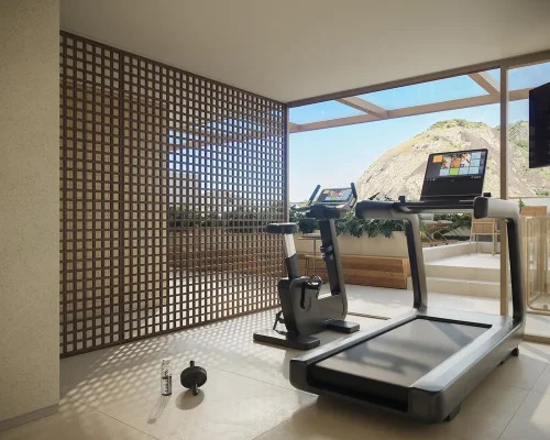 soul-rio-barata-ribeiro-academia